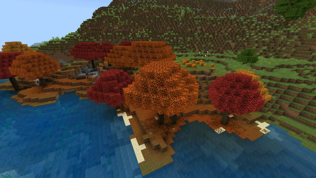 Forest from Minecraft 26