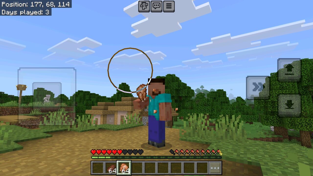 Chicken from Java Saturation and Regeneration Mod for Minecraft PE