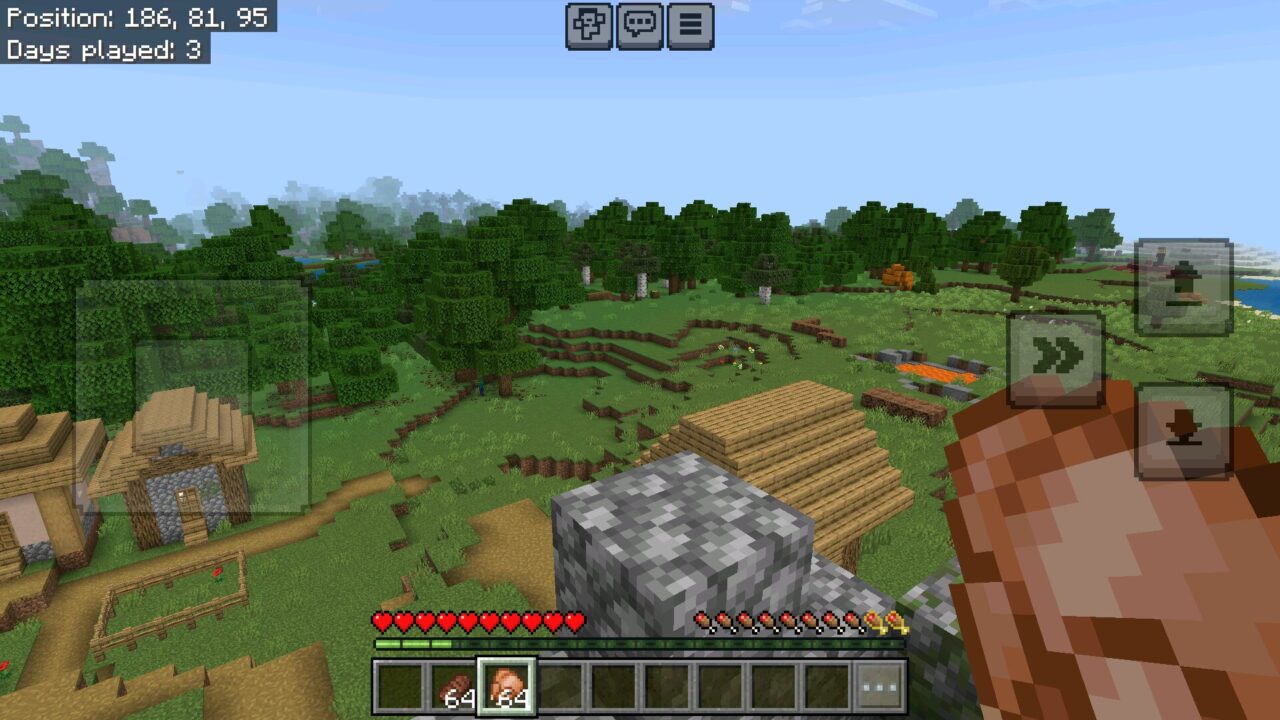 Food from Java Saturation and Regeneration Mod for Minecraft PE