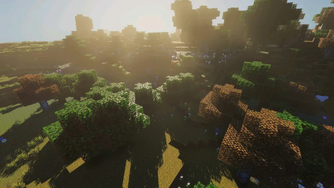 Forest from Definitive Vibrant Visuals Shader for Minecraft PE