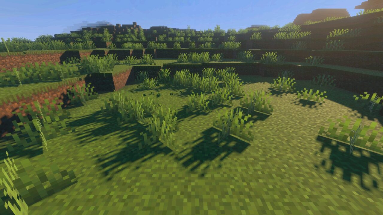 Grass from Better Vibrant Visuals Shader for Minecraft PE