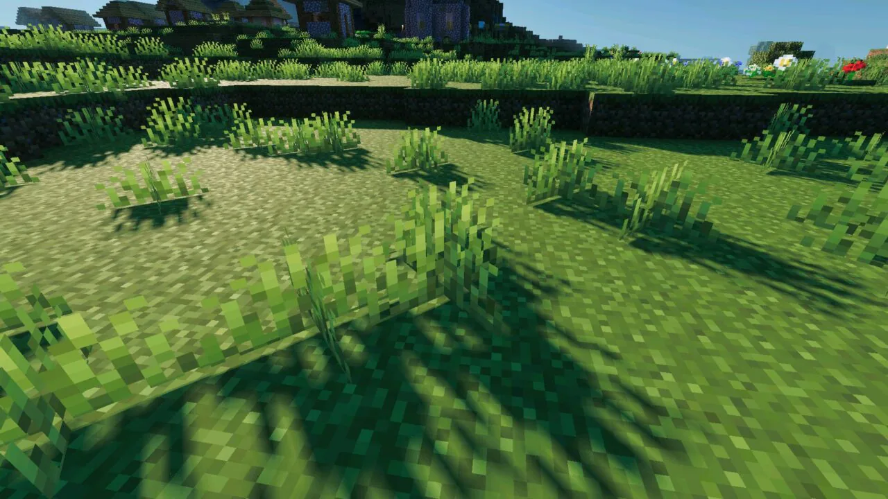 Grass from Definitive Vibrant Visuals Shader for Minecraft PE