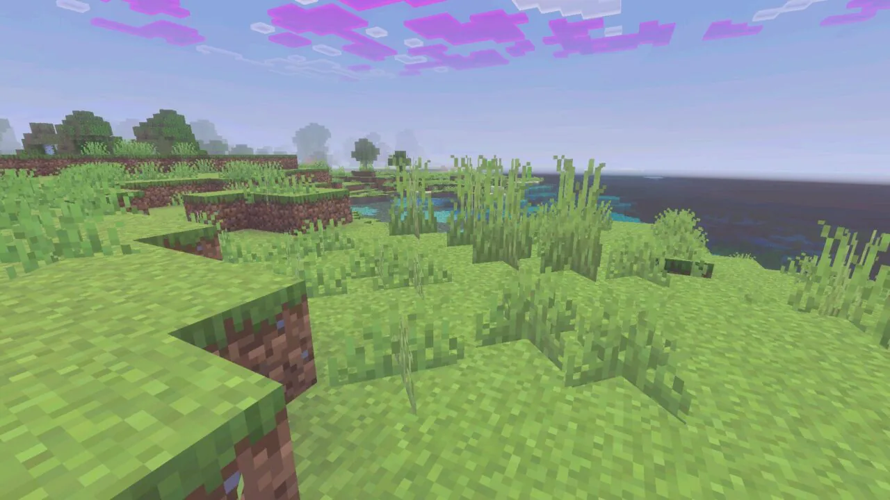 Grass from Newb X Dawn Shader for Minecraft PE