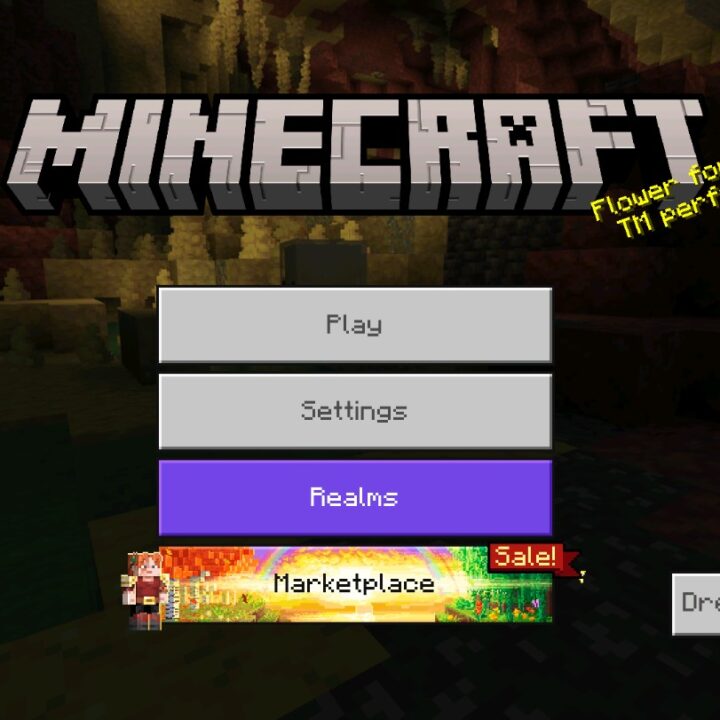 Télécharger Minecraft 26.33 APK