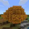 Download Minecraft 1.26.50.20 APK
