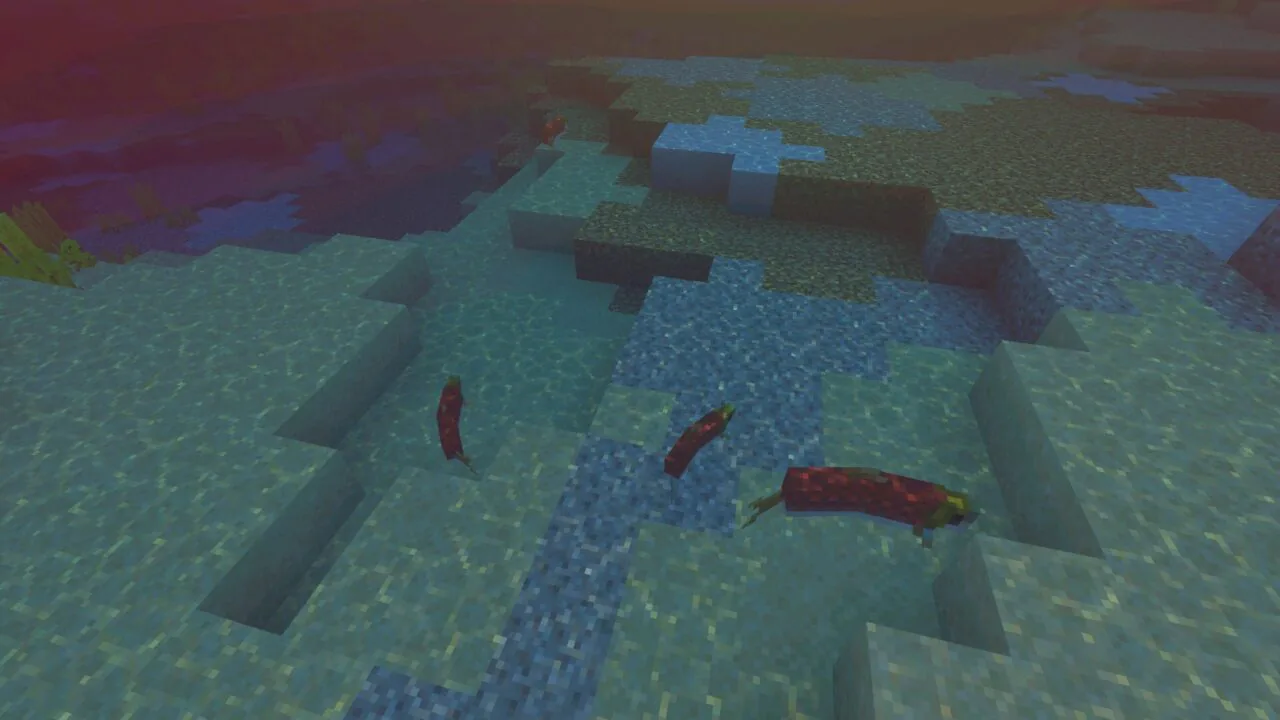 Water from Newb X Dragon Shader for Minecraft PE