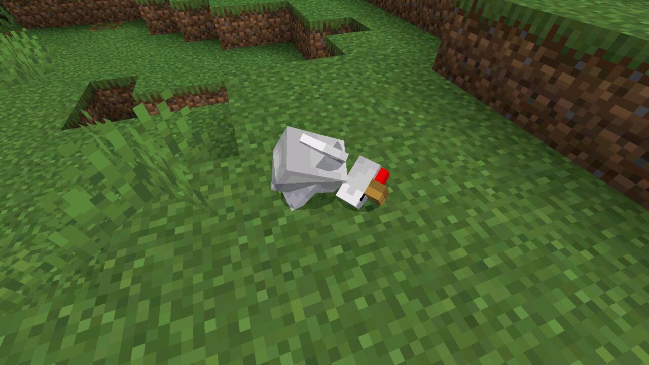 Chicken from Real Ragdoll Mod for Minecraft Bedrock