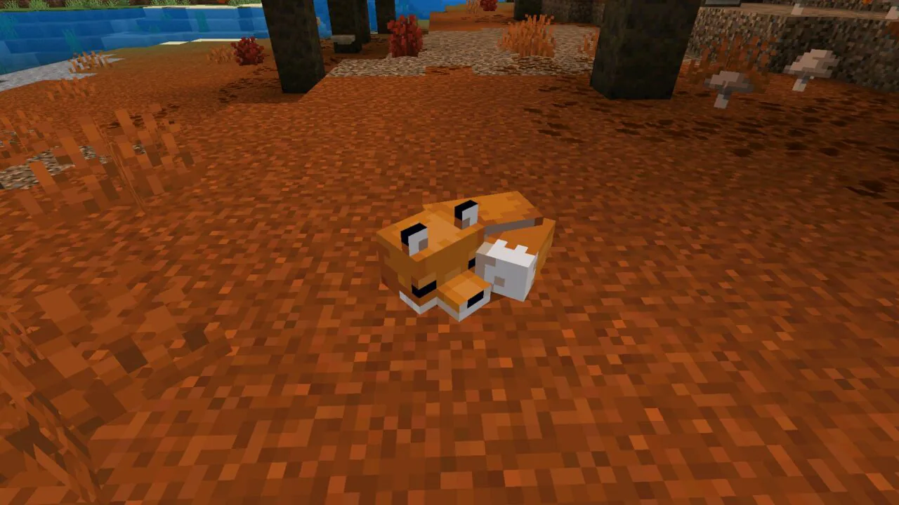 Fox from Minecraft 26.40