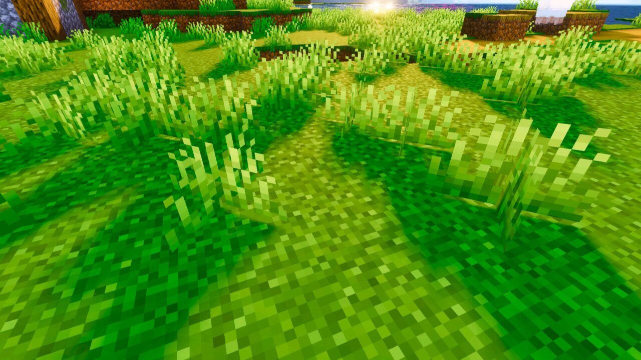 Grass from Nexora Visuals Shader for Minecraft PE