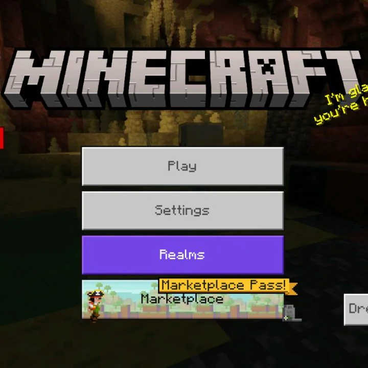 Baixar Minecraft 26.44