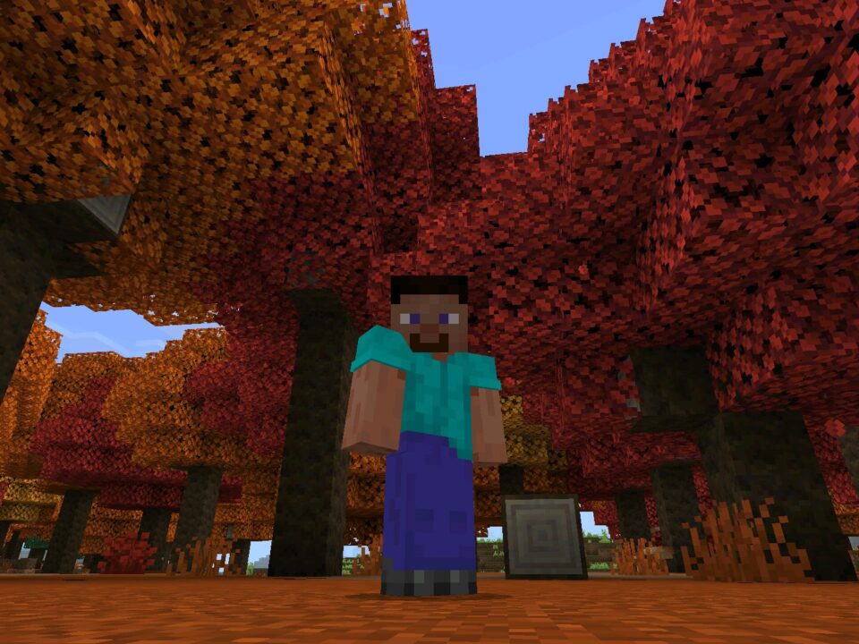 Download Minecraft 26.45 APK