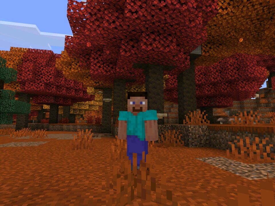 Download Minecraft 26.50.27 APK