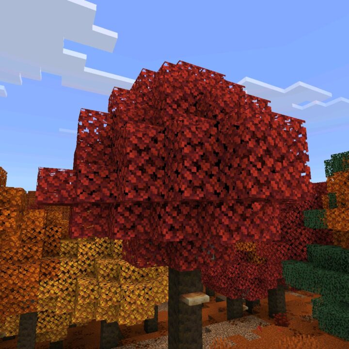 Download Minecraft 26.50.26 APK