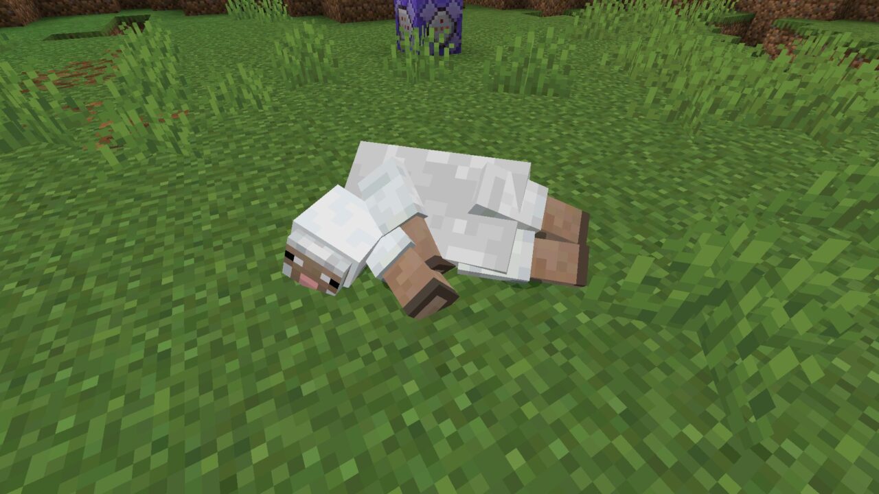Sheep from Real Ragdoll Mod for Minecraft Bedrock