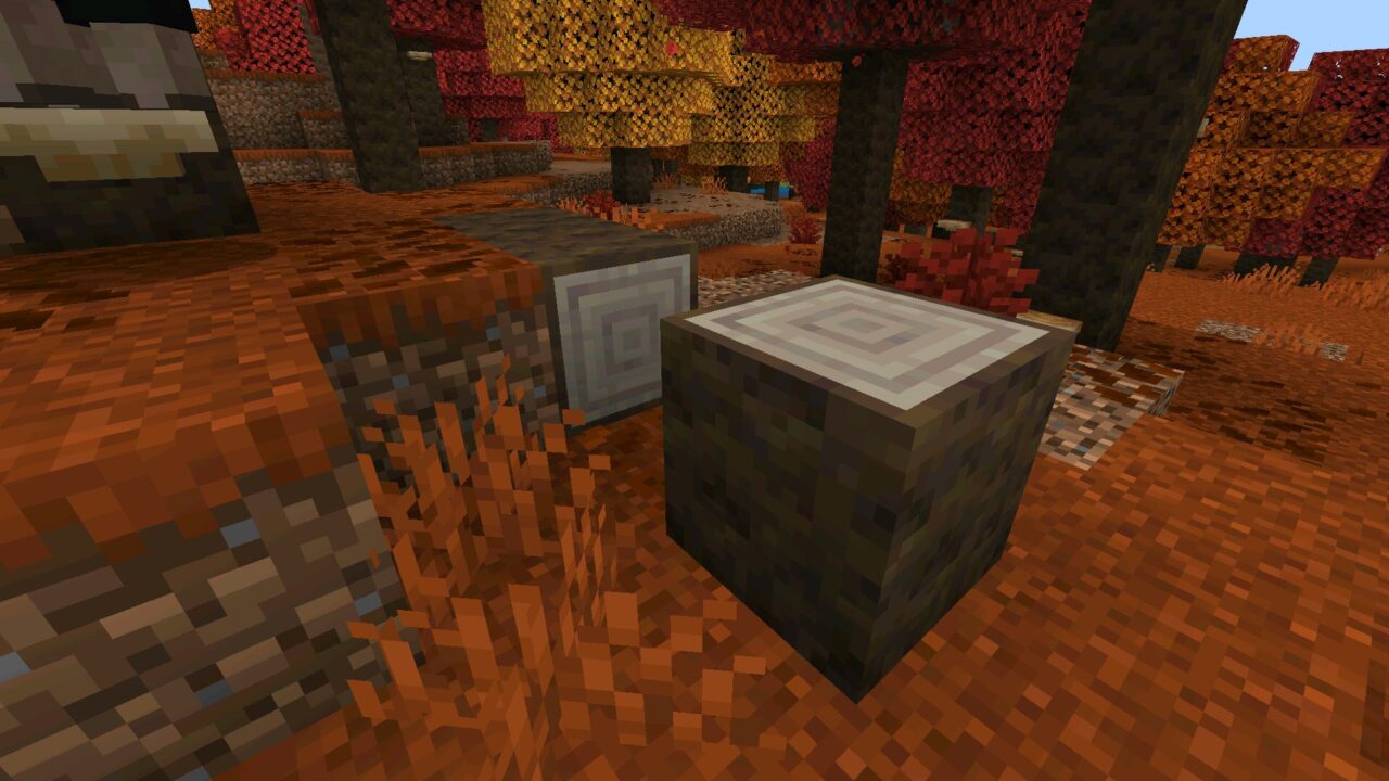Wood from Minecraft 26