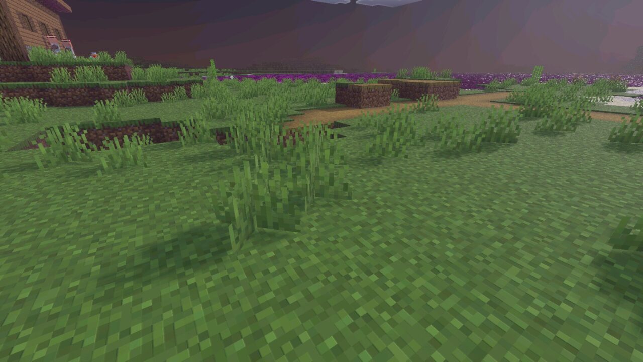 Grass from BC Visual Shader for Minecraft Bedrock