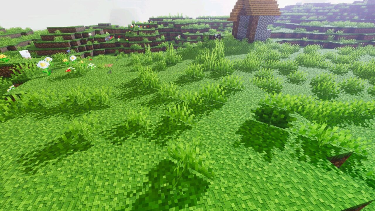 Grass from Glacier Visuals Shader for Minecraft Bedrock