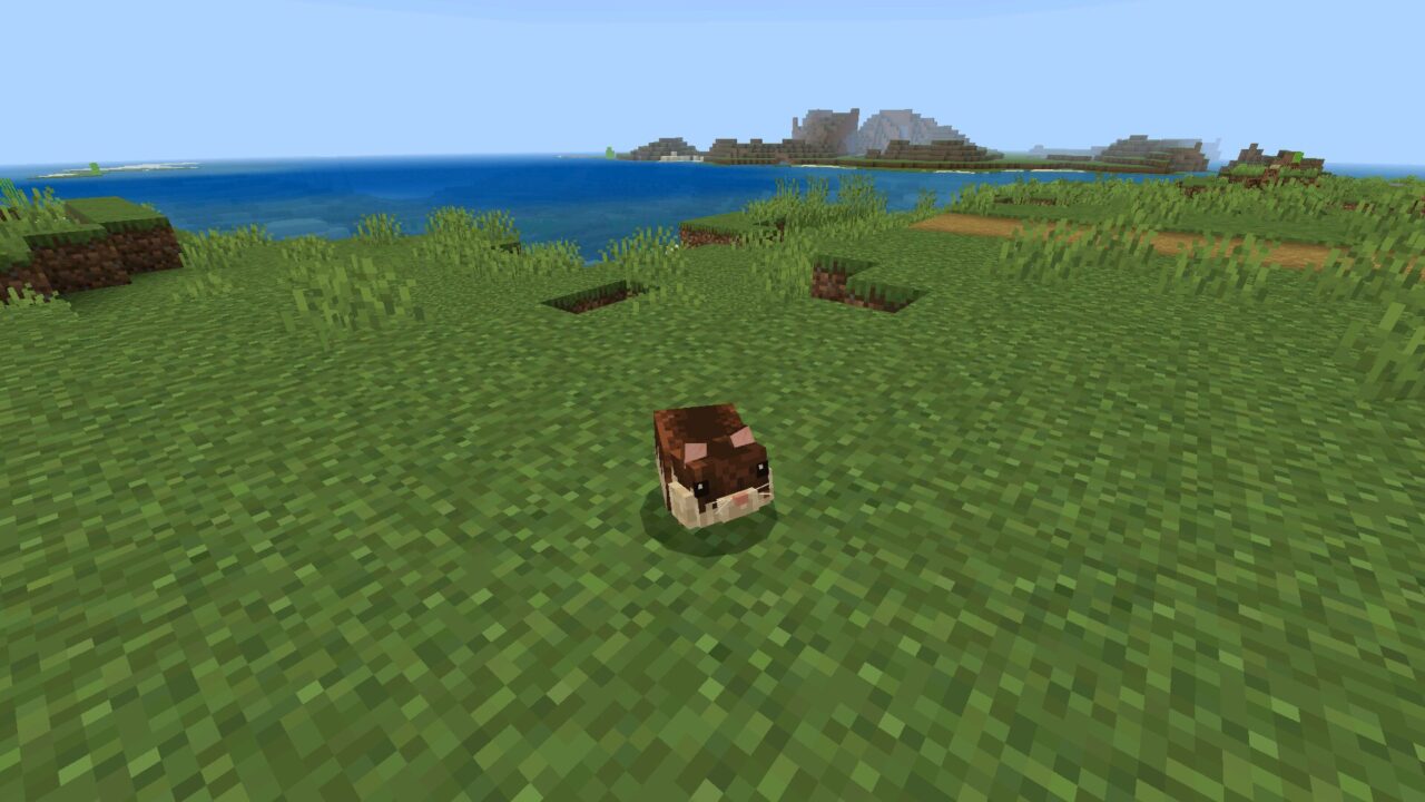 Hamster from Paws and Claws Mod for Minecraft Bedrock