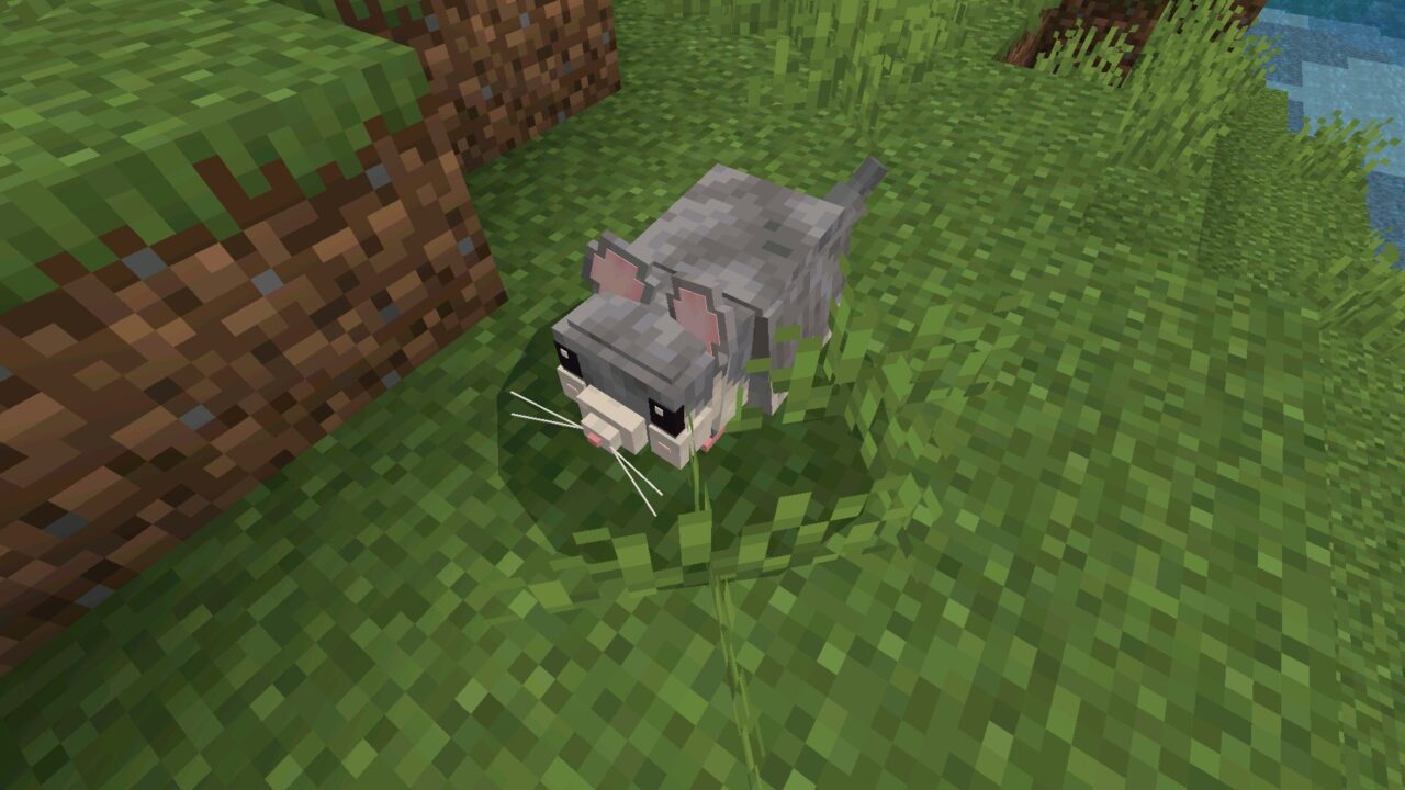 Pet from Paws and Claws Mod for Minecraft Bedrock