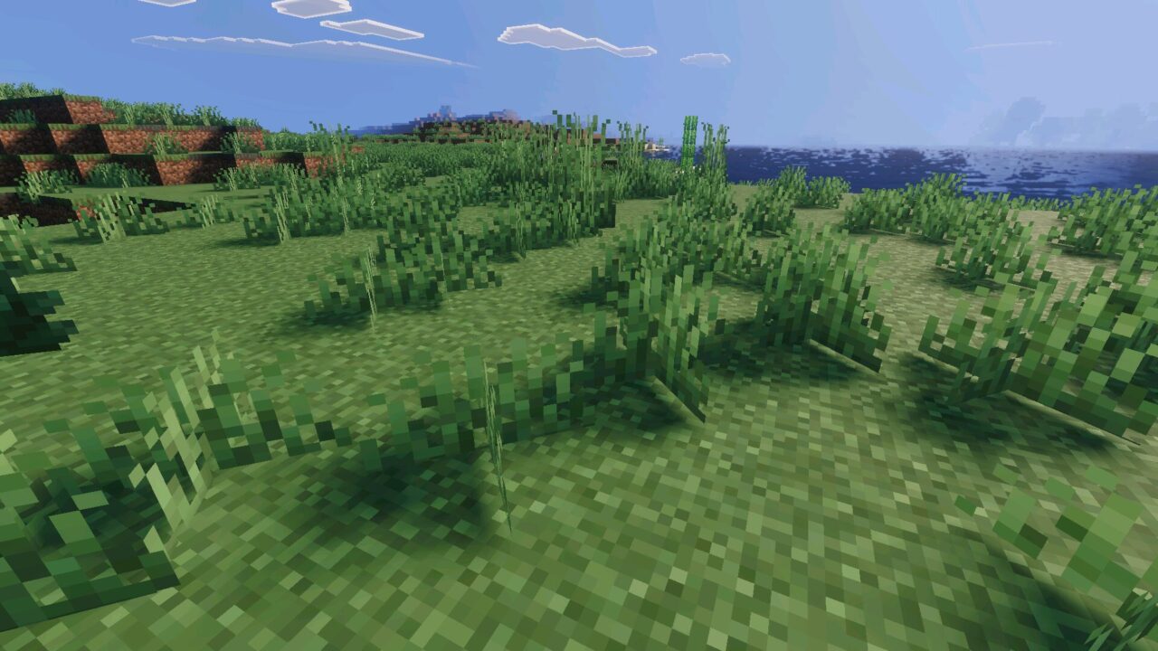 Grass from Arce Visuals Shader for Minecraft Bedrock