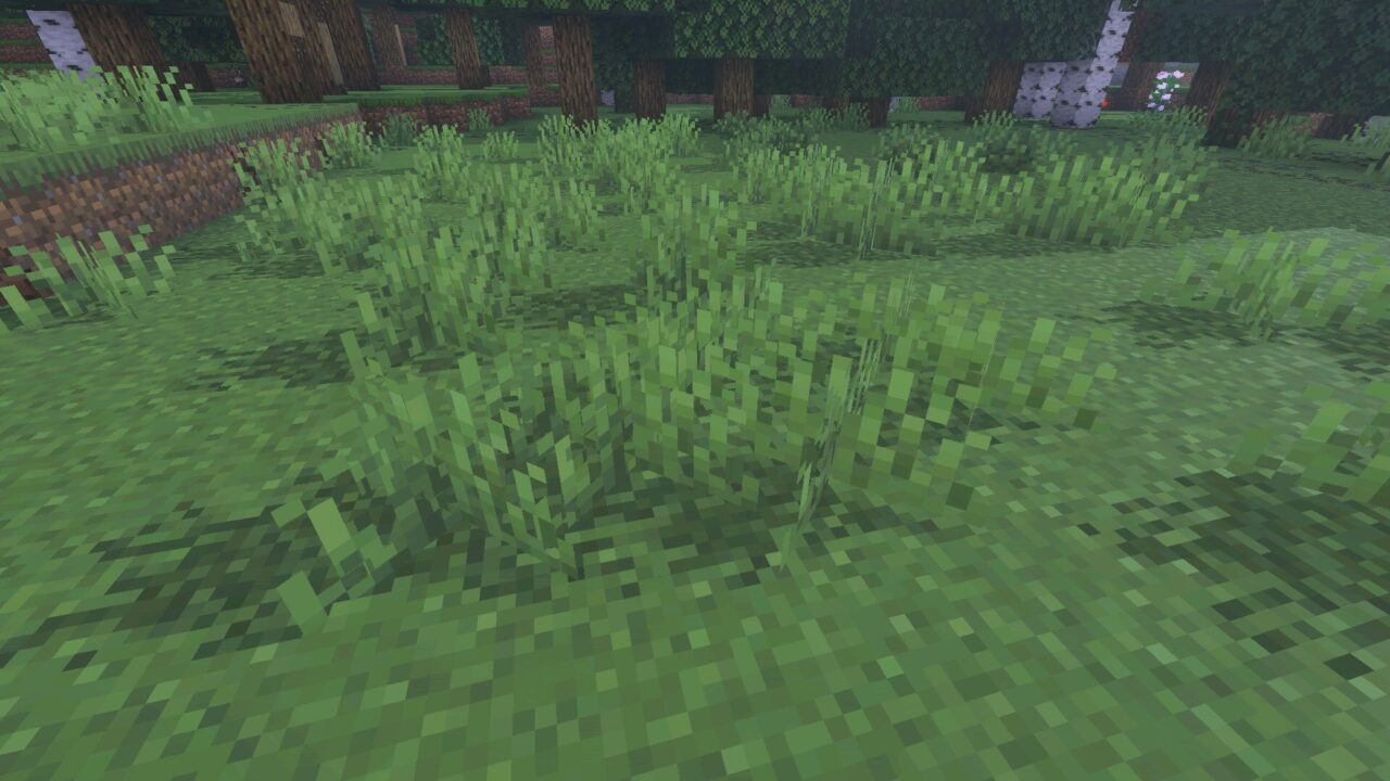 Grass from Lumirose Visuals Shader for Minecraft Bedrock