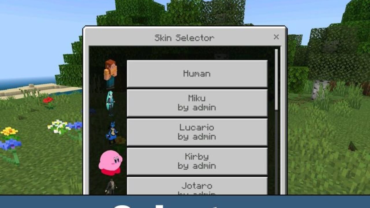Selector from 5D Skins Mod for Minecraft Bedrock